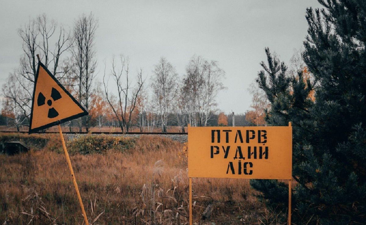 Через сильну пожежу у лісі біля Чорнобиля є загроза підвищення радіації