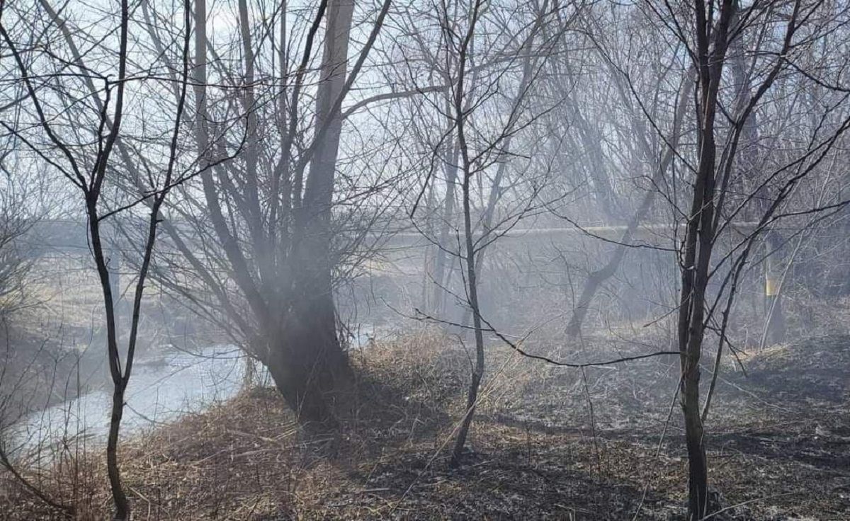 Палій трави на Прикарпатті заплатить 40 тис. грн за пошкоджений газопровід