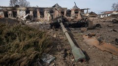 Земля мемів