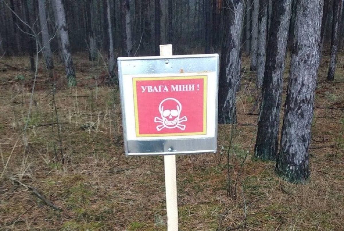 Мер міста на Рівненщині попередив про заміновані ділянки в лісах