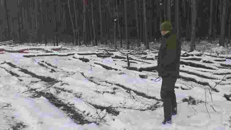 Підприємство на Хмельниччині заплатить майже 11 млн грн за незаконну вирубку дерев 
