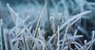 Синоптики попередили про сильні заморозки до -6°С на Львівщині