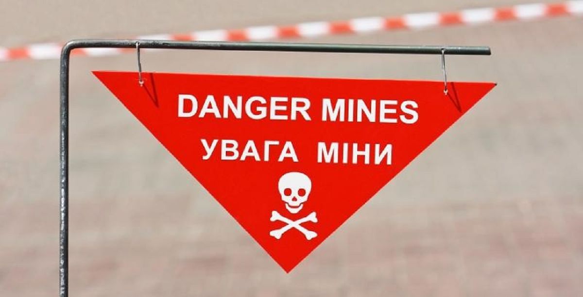 Не засіяними цього року залишаться третина українських полів, – ООН