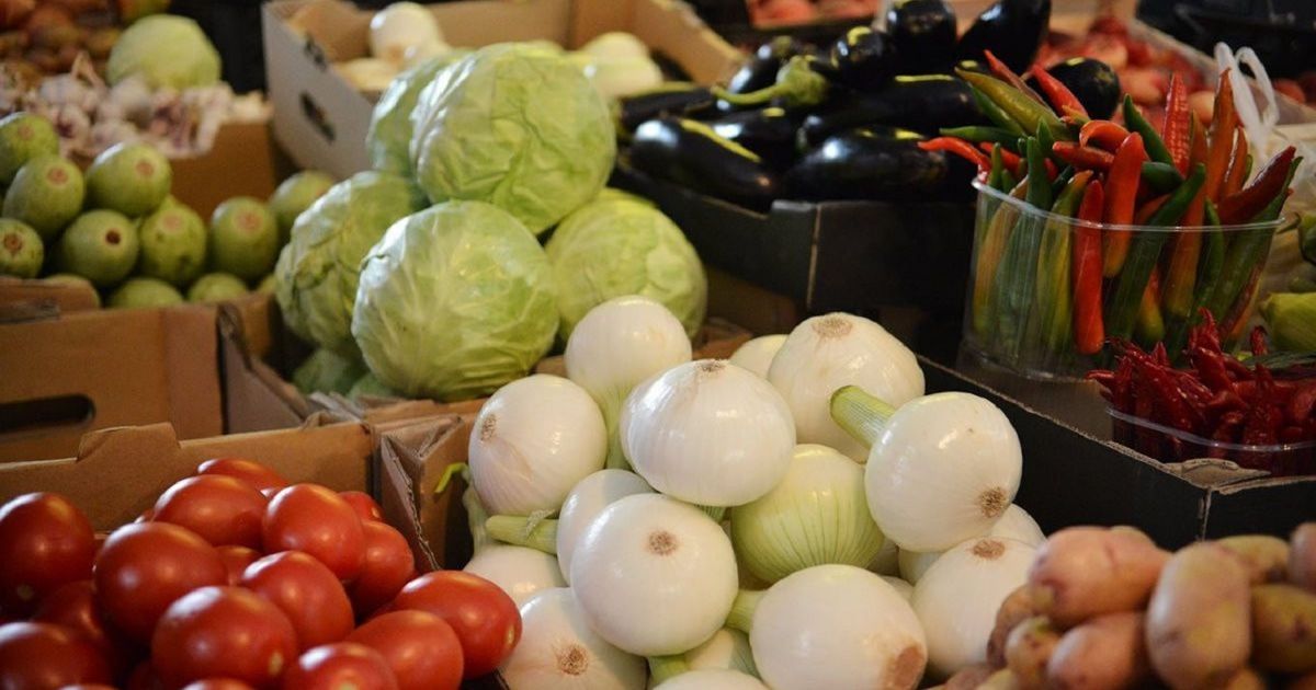 На Запоріжжі росіяни захопили тепличний комбінат і продають крадені овочі