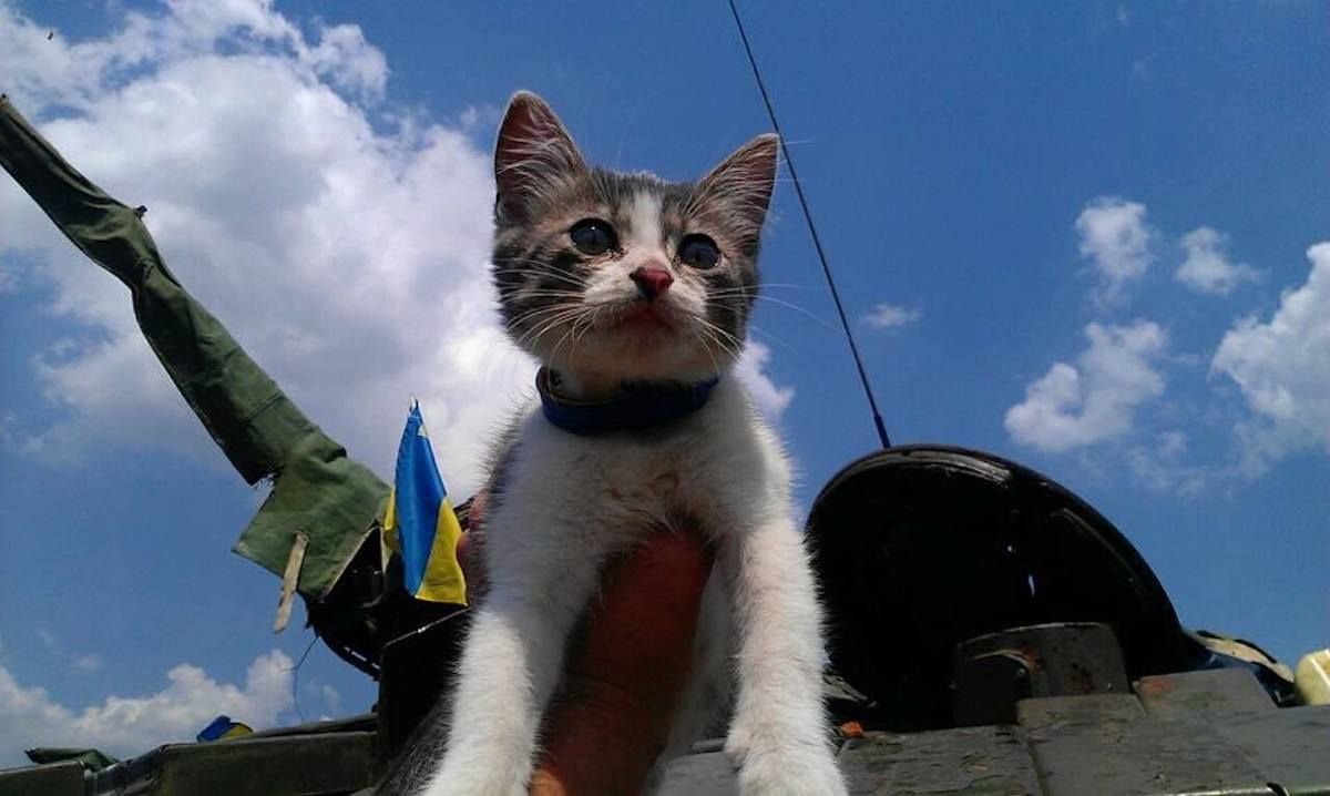 Воєнний стан продовжили. Що змінилось?