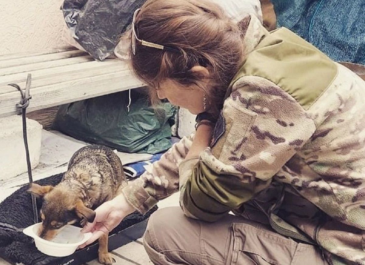 Чоловік  з собакою  п’ять діб ішов пішки з Маріуполя до Запоріжжя