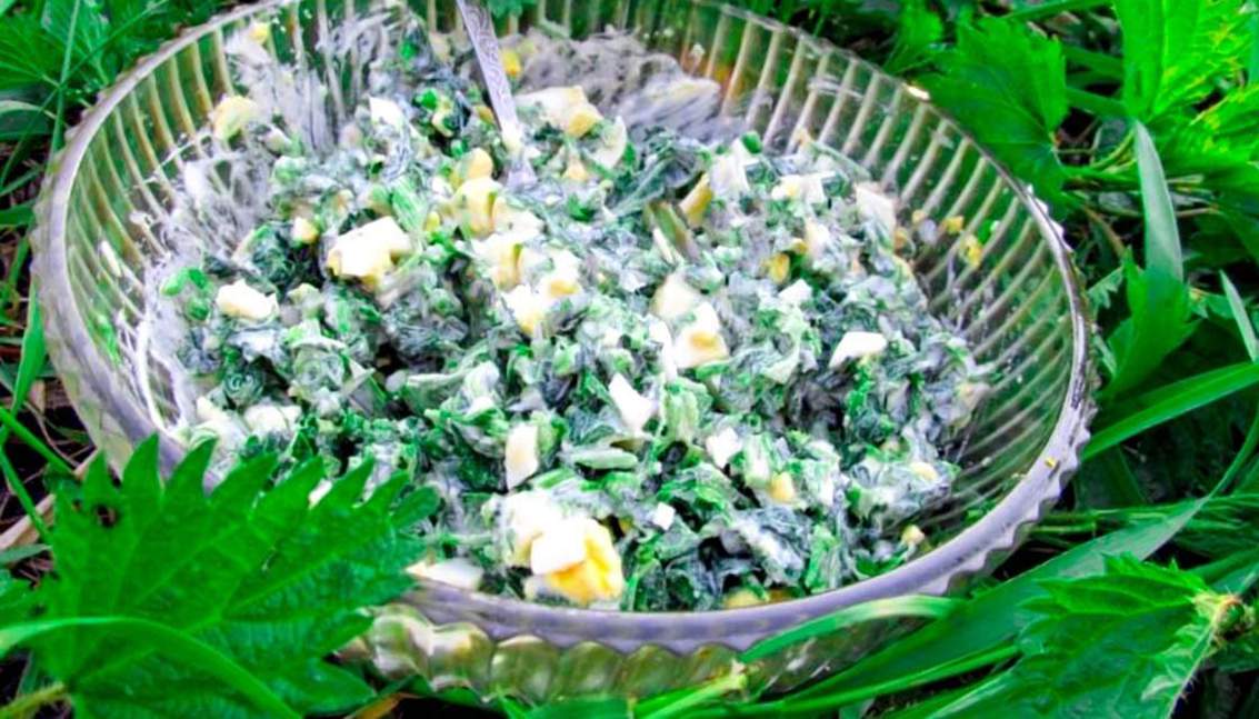 Зелений салат з листя кульбаби та кропиви. Рецепт дня
