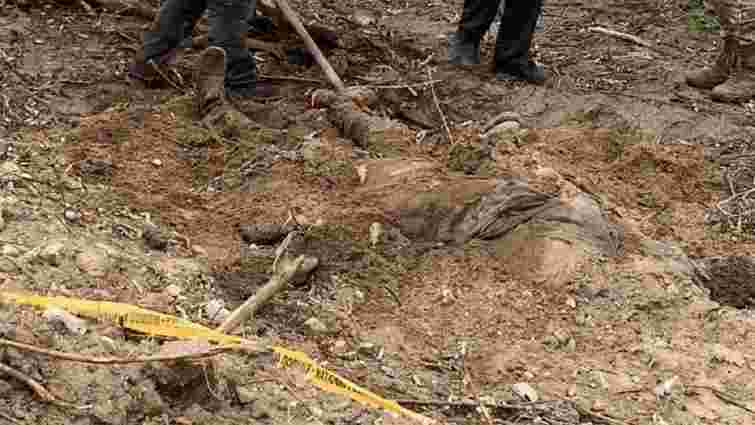 На Київщині виявили ще одне поховання з тілами закатованих цивільних