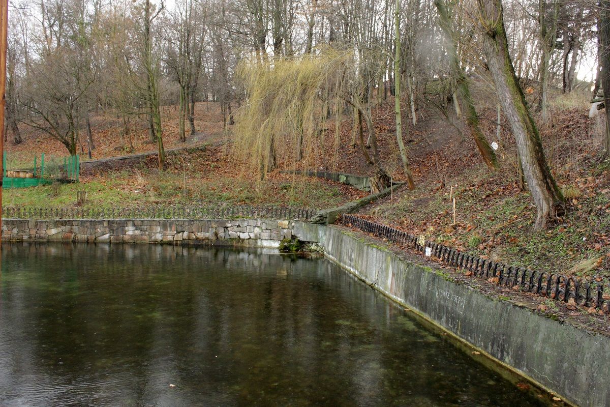 Парки і зелені зони Львова оброблять від кліщів