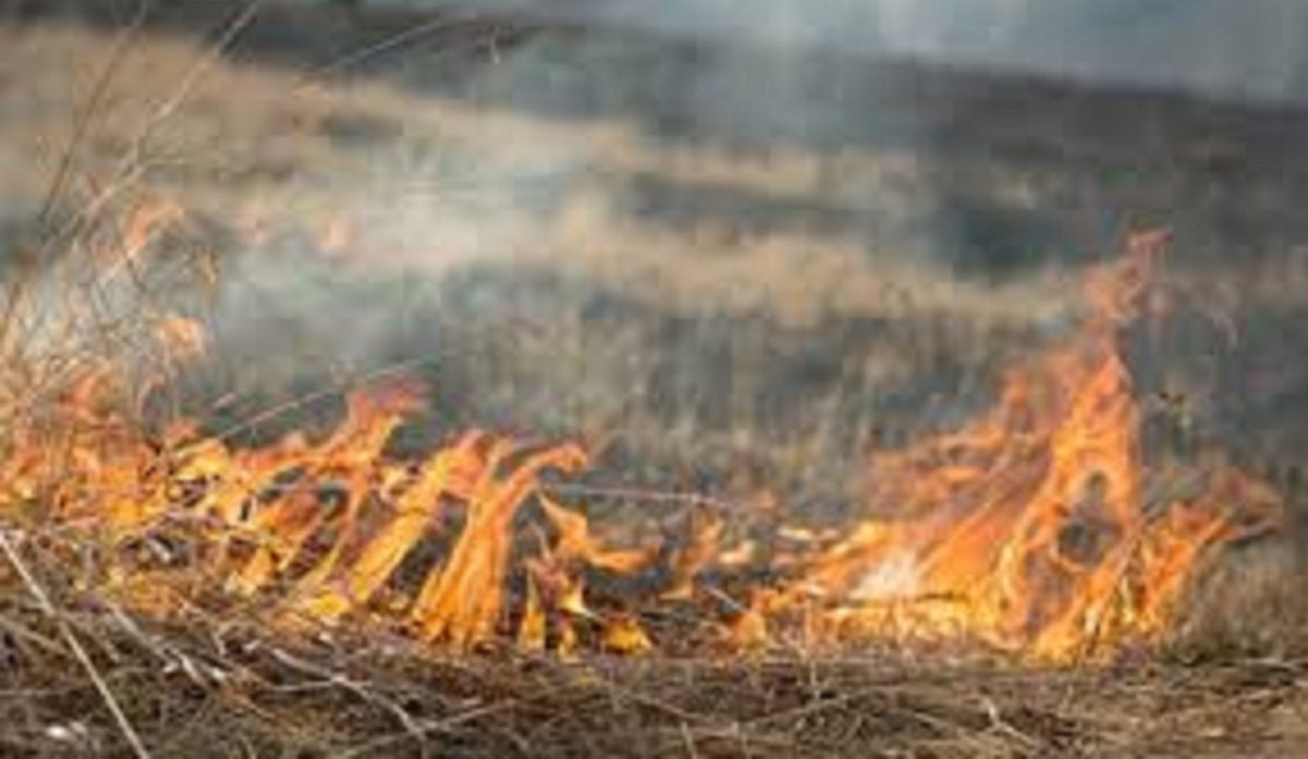 Мешканців Львівщини попередили про надзвичайну пожежну небезпеку