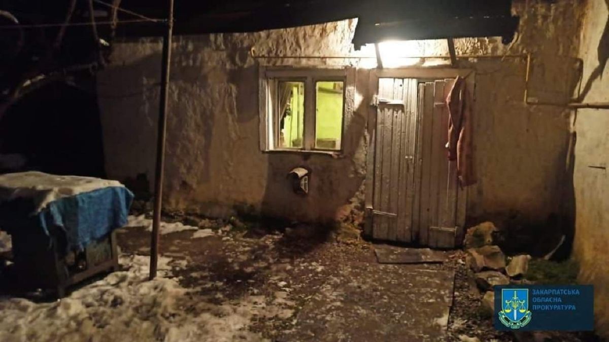 Суд відправив на лікування 18-річного вбивцю опікунки із Закарпаття