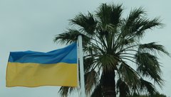 Каннський фестиваль: зради та перемоги