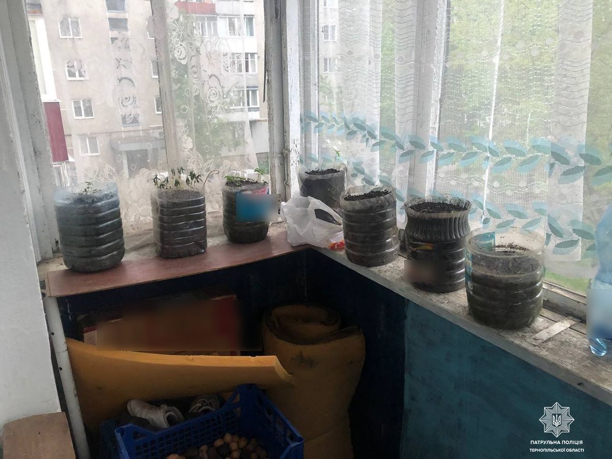 У домашнього насильника з Тернополя випадково виявили марихуану на балконі