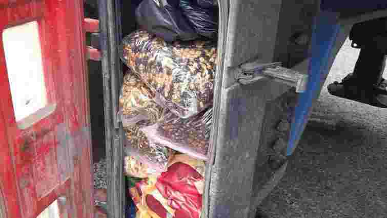 У водія фури на кордоні з Румунією виявили 62 кг контрабандного бурштину