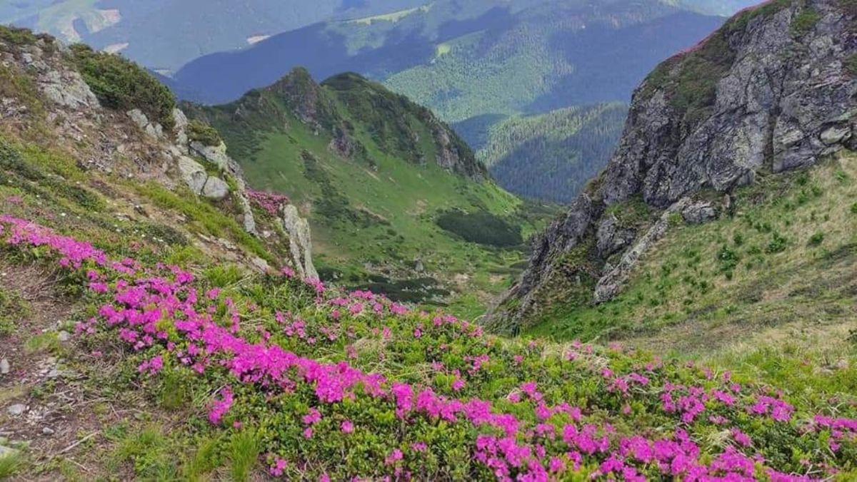У прикордонній зоні на Закарпатті заборонили походи в гори