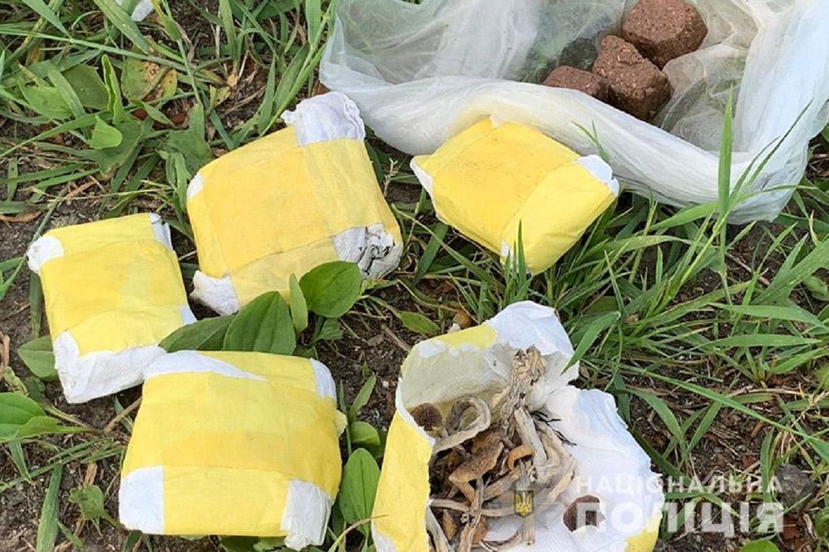 На трасі біля Старокостянтинова затримали 21-річного юнака з галюциногенними грибами