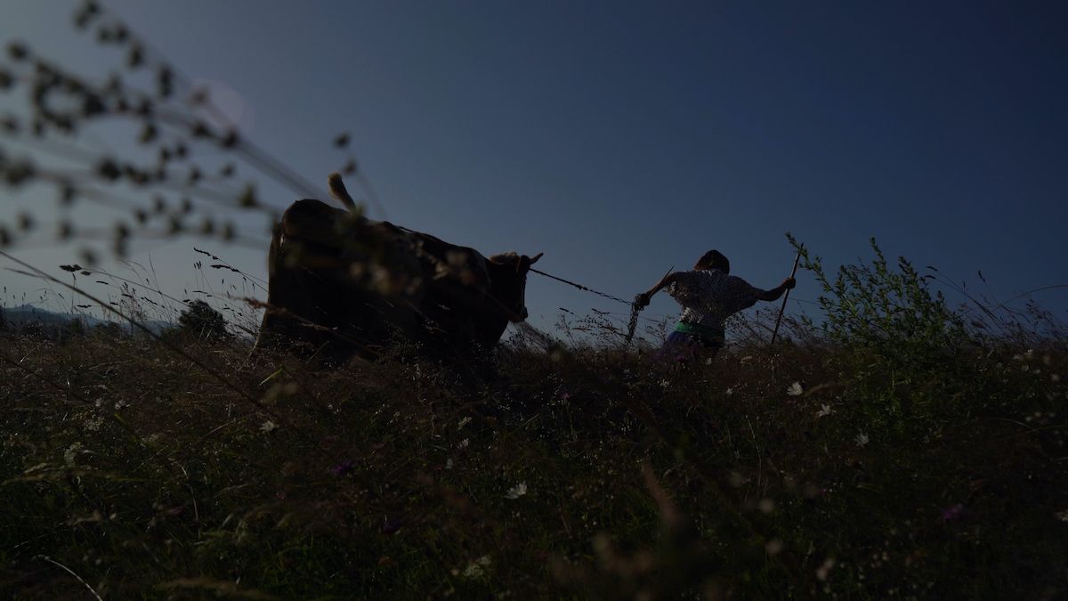 «Війна, як хижий звір, що приміряється, нападає»