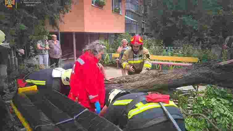 79-річну жінку госпіталізували внаслідок падіння дерева після буревію на Хмельниччині