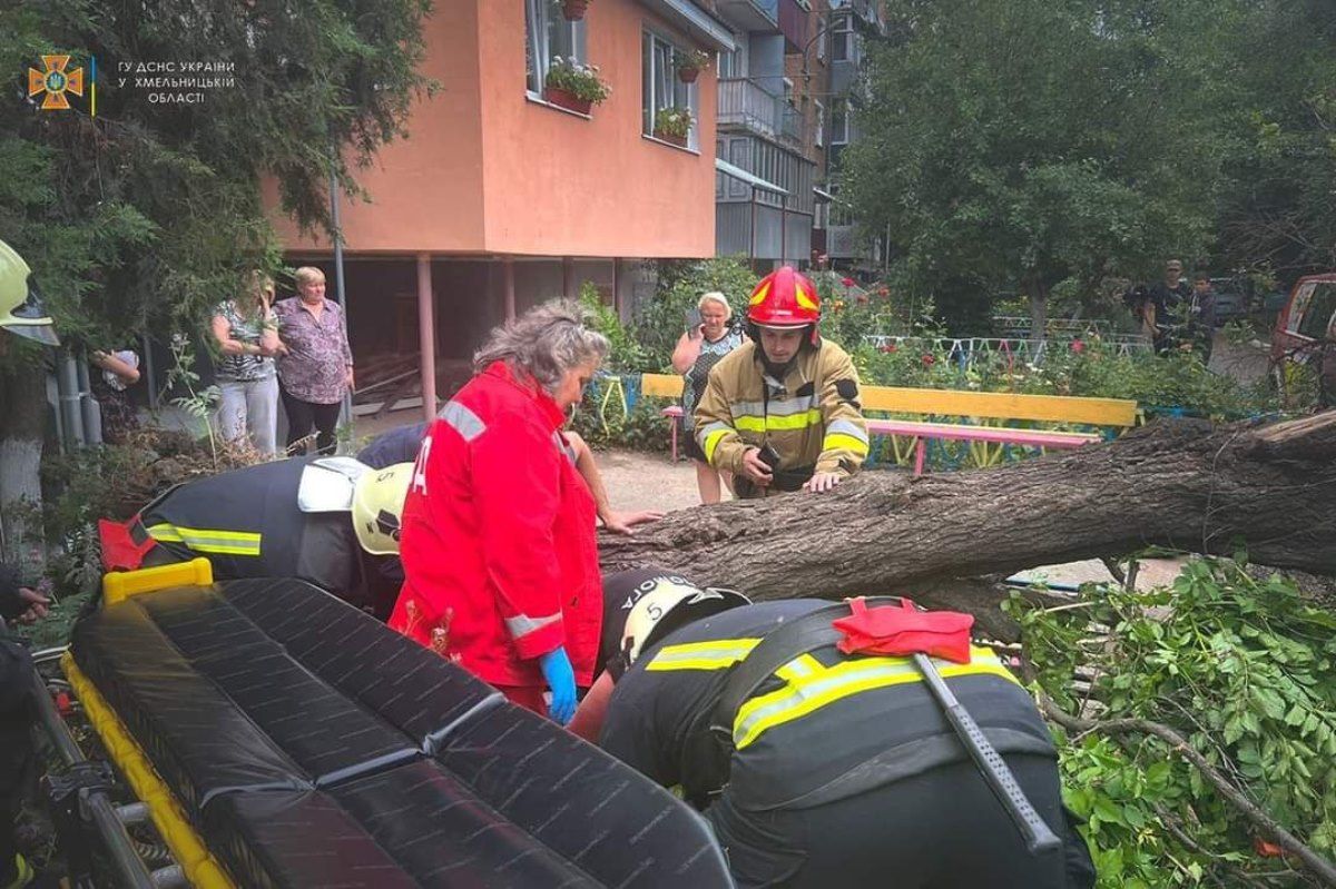 79-річну жінку госпіталізували внаслідок падіння дерева після буревію на Хмельниччині
