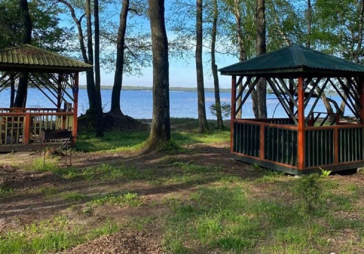 36-річний директор турбази до смерті побив літню клієнтку на Рівненщині 