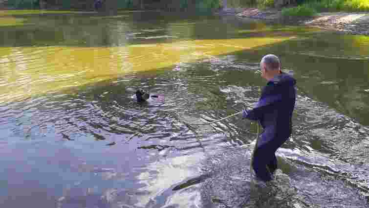 16-річна дівчина втопилася у річці Західний Буг в Червонограді