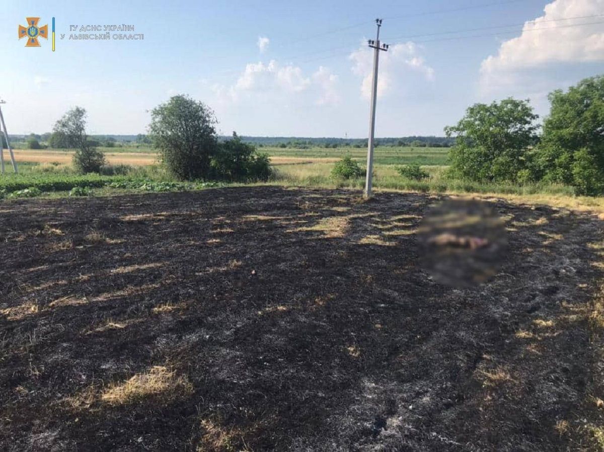 Через спалювання сухої трави біля Львова загинула 76-річна жінка