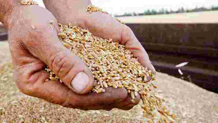 Україна веде перемовини з Туреччиною та ООН щодо експорту зерна