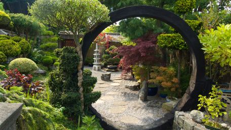 Як створити сад у японському стилі: особливості дизайну