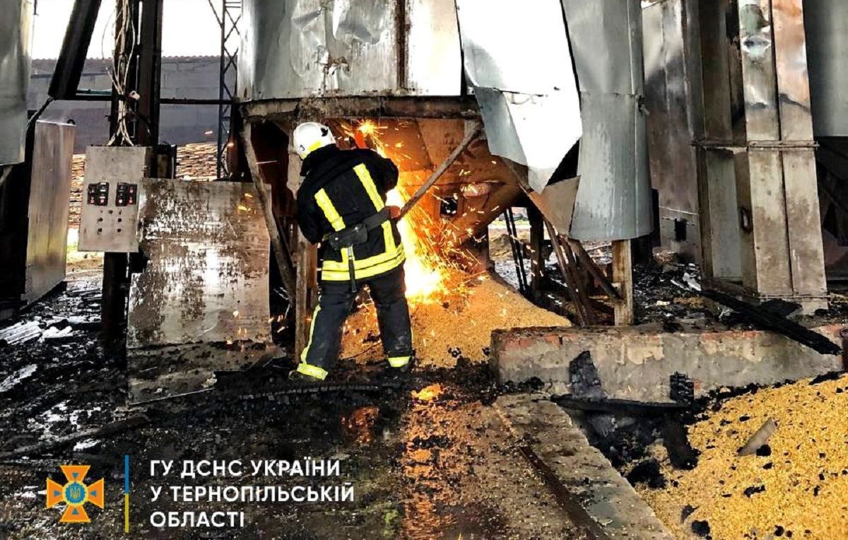У пожежі на фермі неподалік Тернополя згоріло 2 тонни ячменю