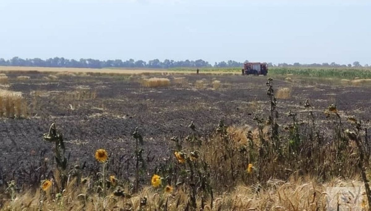 На окупованих територіях фермери нищать врожай, аби не віддавати його росіянам