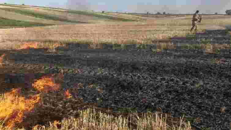 Троє людей загинуло під час спалювання сухої трави на Прикарпатті 