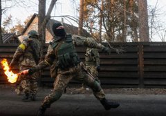 Наші партизани