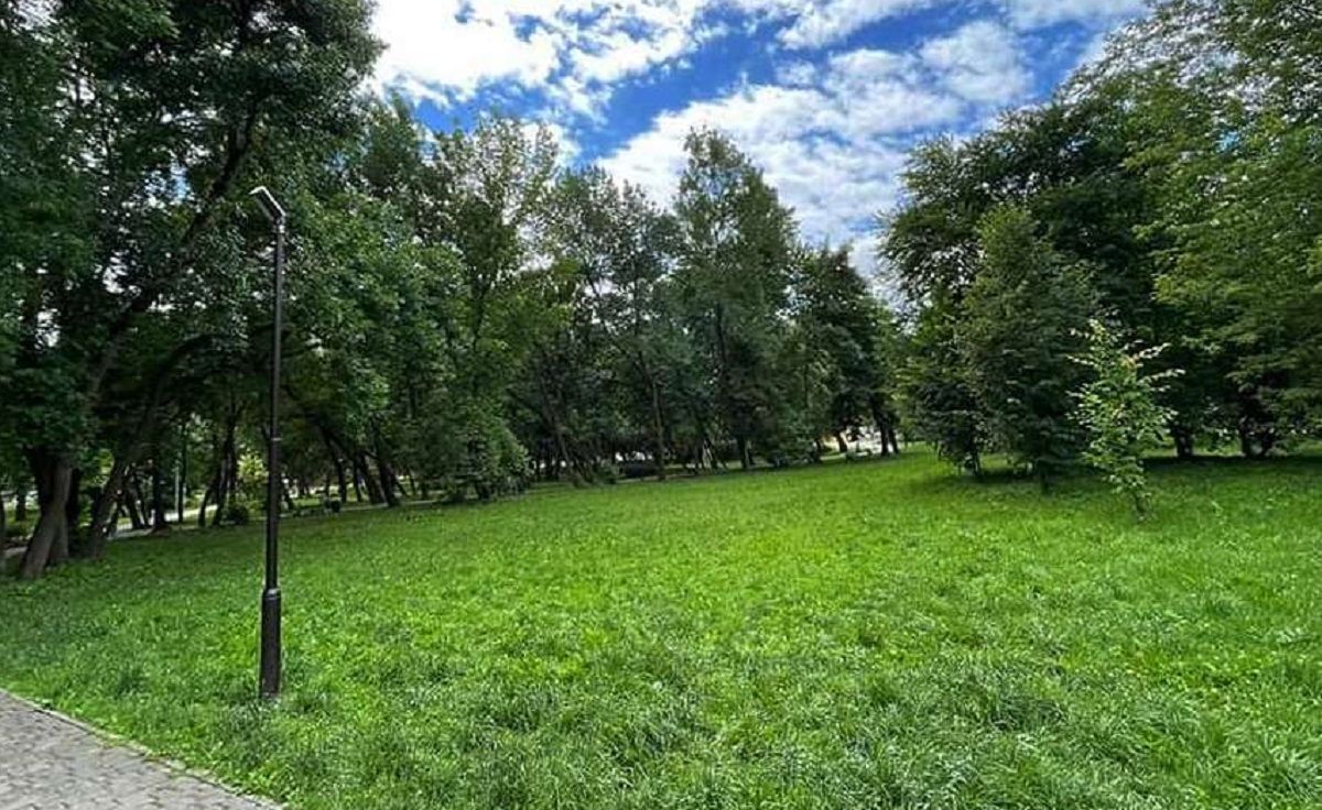 У парку «700-річчя Львова» облаштують дитячий майданчик