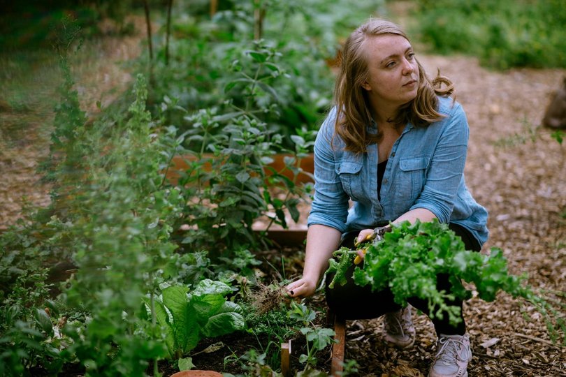 Гарденотерапія від війни. Про екопростір «Розсадник» у Львові 11