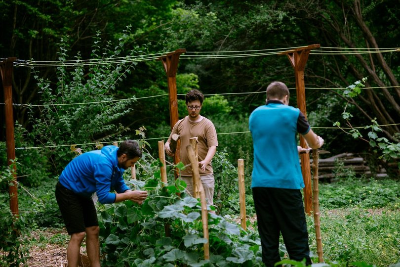 Гарденотерапія від війни. Про екопростір «Розсадник» у Львові 13