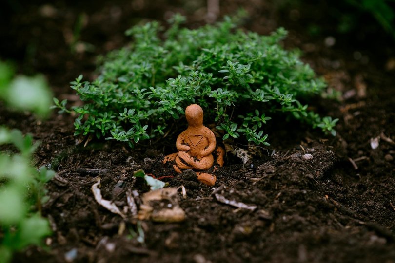 Гарденотерапія від війни. Про екопростір «Розсадник» у Львові 14