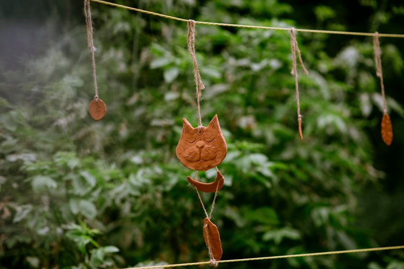Гарденотерапія від війни. Про екопростір «Розсадник» у Львові 15
