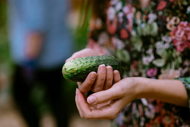 Гарденотерапія від війни. Про екопростір «Розсадник» у Львові 16