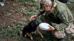 Підсумки 161 дня війни