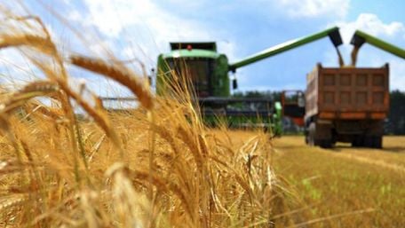 Росіяни вкрали 200 тис. тонн зерна в агрофірми Ахметова