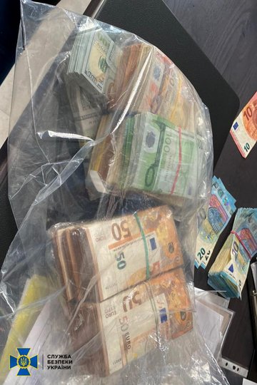 СБУ знайшла 8 млн грн в львівської чиновниці, яка переправляла ухилянтів за кордон 11