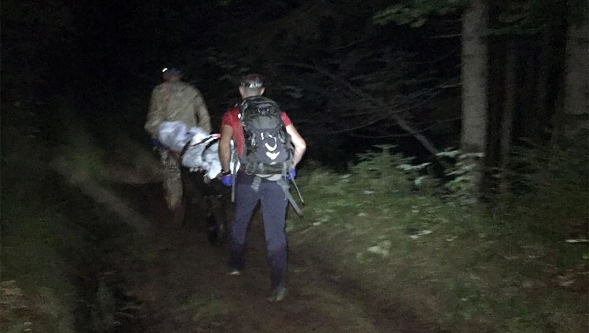 60-річний грибник з Франківська помер у Карпатах від укусів оси