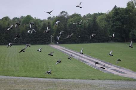 Останки військових радянської армії перепоховають з Марсового поля