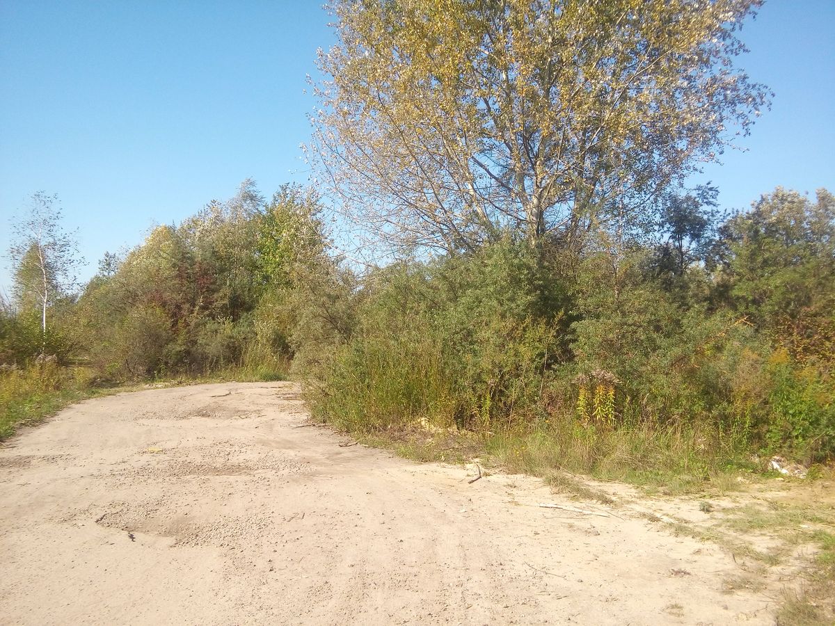«Онур» облаштує нове виробництво на Рясному у Львові