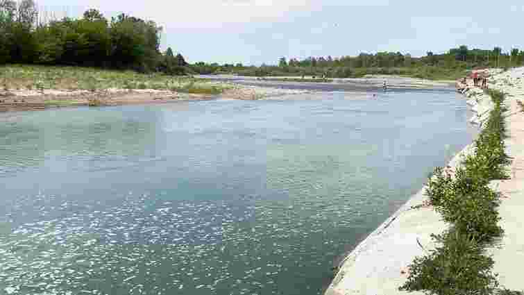 14-річний підліток загинув після стрибка у річку в Коломиї