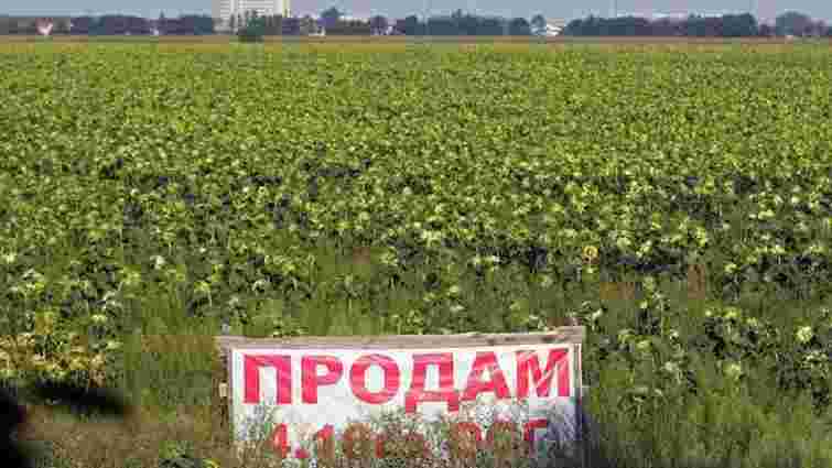 Найдорожчий за рік земельний пай продали в селі біля Львова