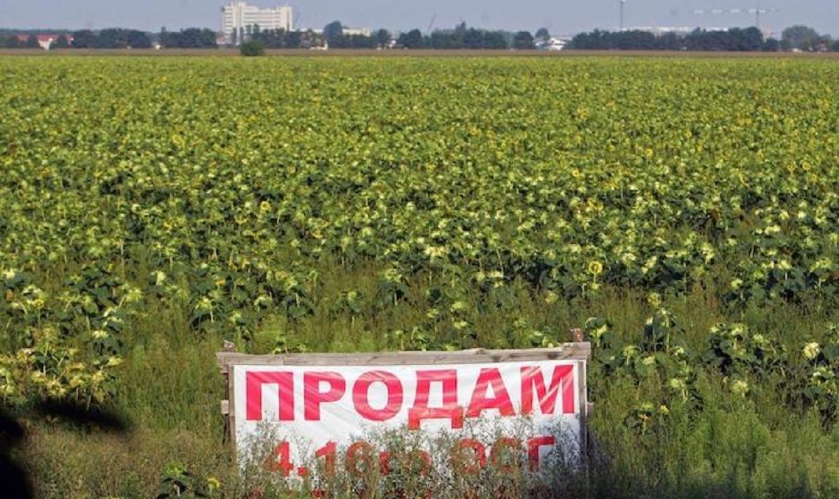 Найдорожчий за рік земельний пай продали в селі біля Львова