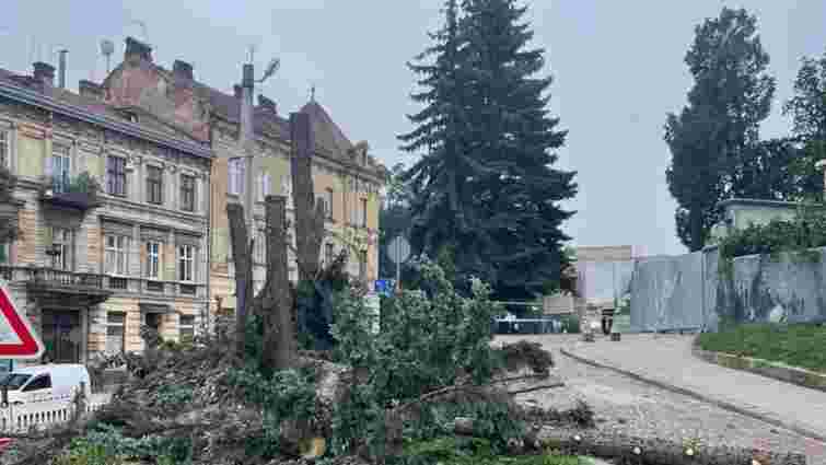Замість 40-річних ялин біля Органного залу у Львові висадять 15 різних дерев