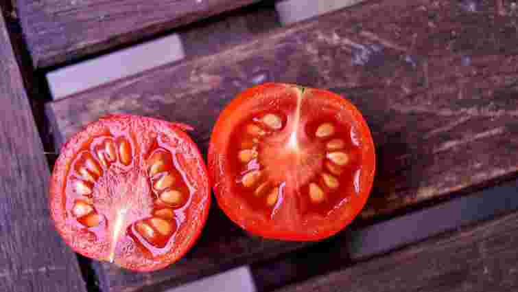 Як правильно збирати насіння помідорів: два способи