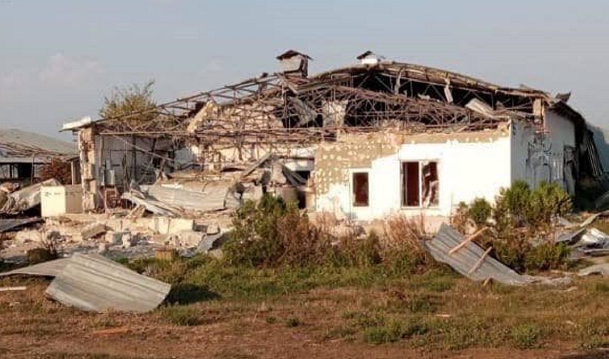 Унаслідок обстрілів ферми на Запоріжжі загинули близько 1000 корів